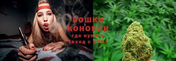 шишки Лабытнанги