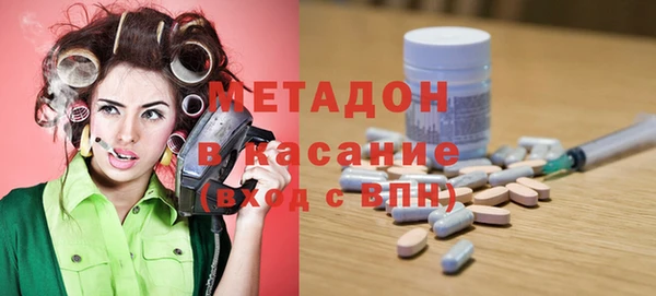 шишки Лабытнанги