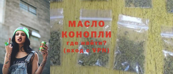 шишки Лабытнанги