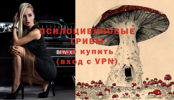 мескалин Ладушкин