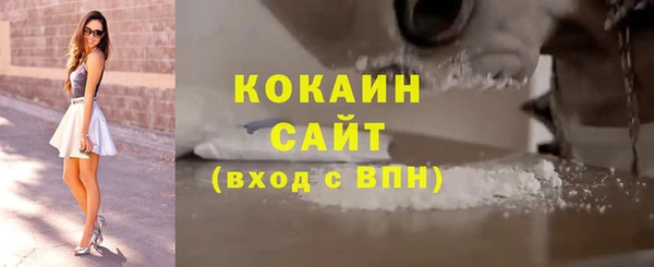 шишки Лабытнанги
