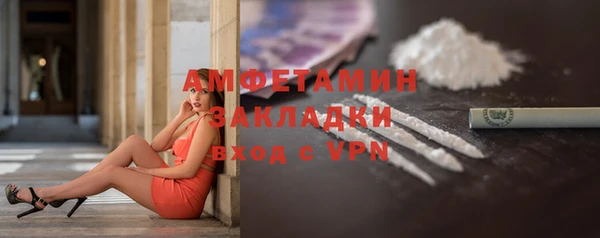 шишки Лабытнанги