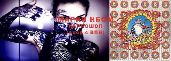 шишки Лабытнанги