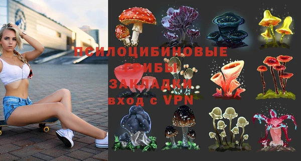 шишки Лабытнанги