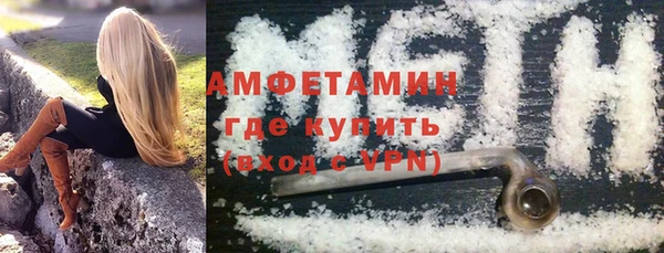шишки Лабытнанги