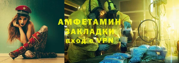 шишки Лабытнанги