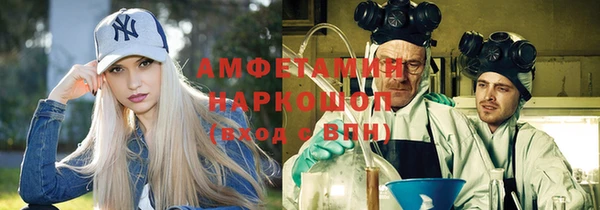 шишки Лабытнанги