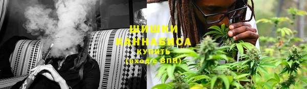 мескалин Ладушкин